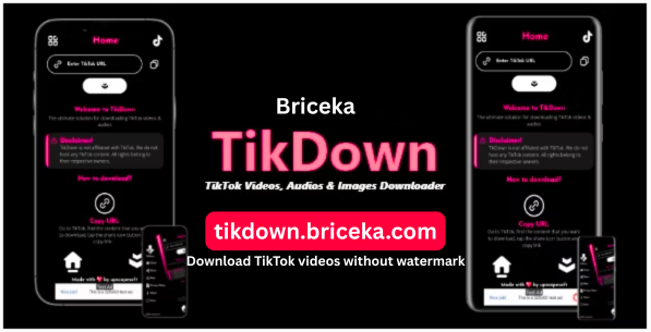 Briceka TikDown tool interface for downloading TikTok videos without watermark